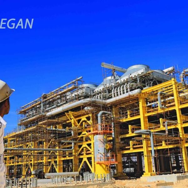 پتروشیمی لردگان1